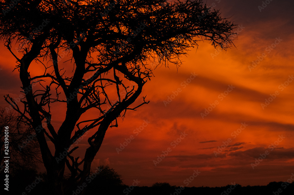 AfricanSunset AfricanSunset