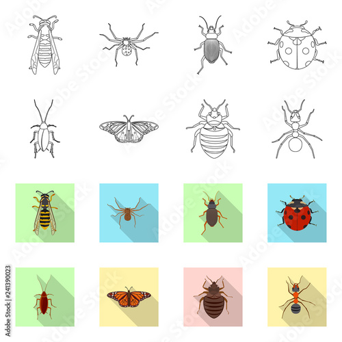 Vector design of insect and fly sign. Set of insect and element vector icon for stock. © Svitlana