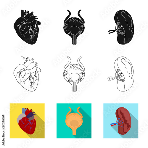 Vector design of body and human symbol. Set of body and medical stock vector illustration.