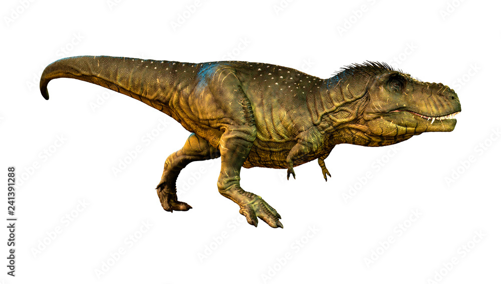 3D Rendering Tyrannosaurus Rex on White 3D Rendering Tyrannosaurus Rex on White