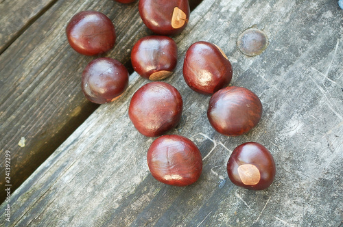 Buckeyes on a Wooden Table photo