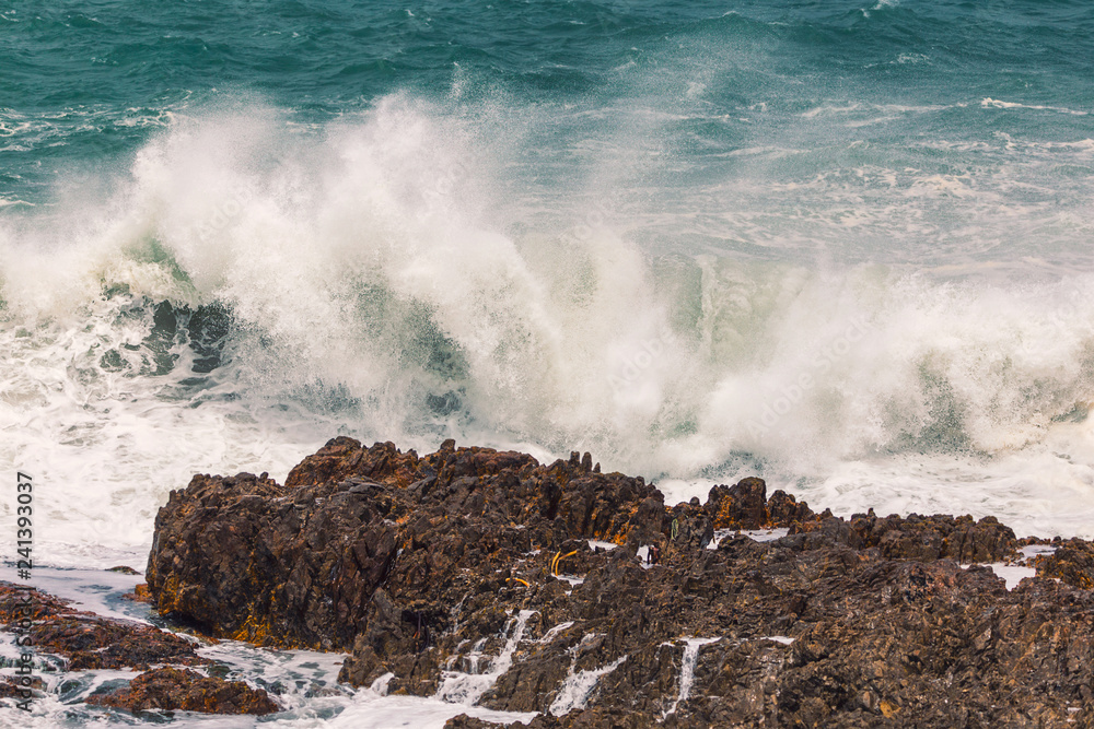 Huge wave crashing rocky coastline in Hermanus, South Africa