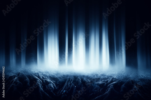 dark forest with scary roots photo