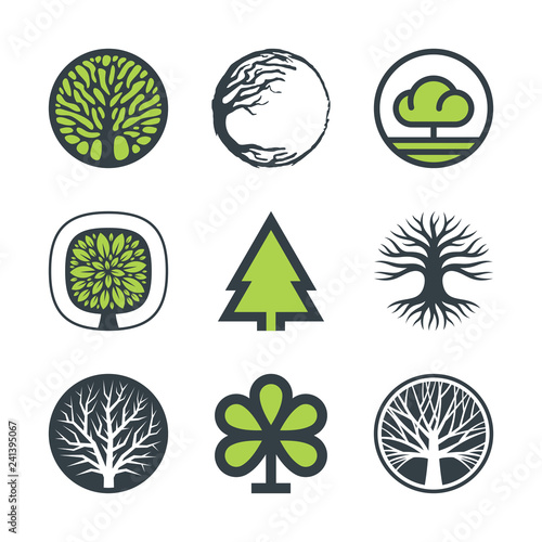 Tree logo design graphics, green leaves, branches and roots