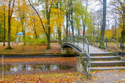Old bridge over the canal in the autumn park.