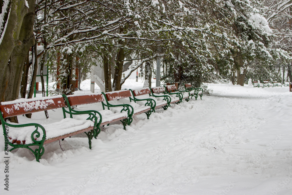 Row of benches covered with snow under trees. Winter snowy park with benches. Frozen alley in park. Christmas and winter holidays weather. Frost and snowfall background. 