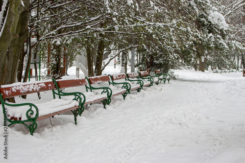 Row of benches covered with snow under trees. Winter snowy park with benches. Frozen alley in park. Christmas and winter holidays weather. Frost and snowfall background.  © Nataliia