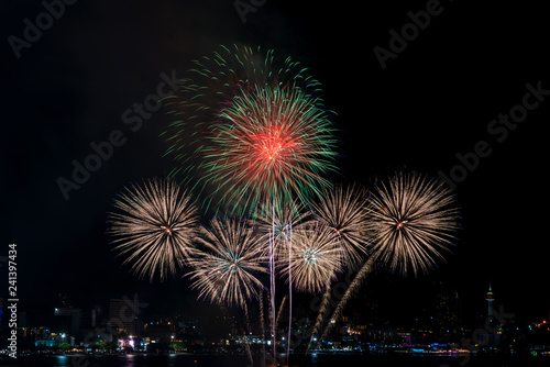 Colorful fireworks of various colors at night with celebration and anniversary concept © CasanoWa Stutio
