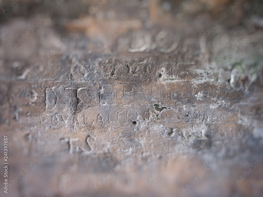 Naklejka premium Wall Writings