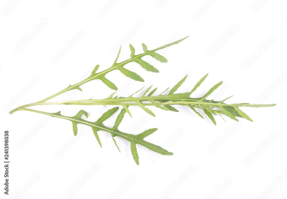 Obraz premium Rucola auf weiss