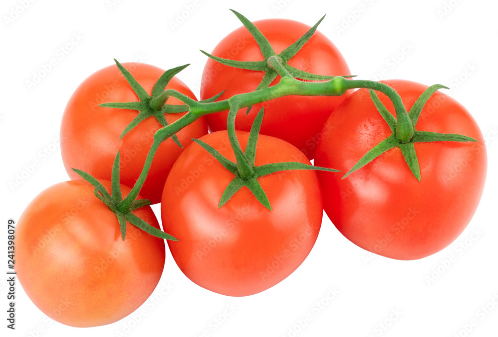 Tomato. Tomato branch. Tomatoes isolated on white. With clipping path Tomato. Tomato branch. Tomatoes isolated on white. With clipping path