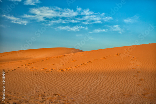 Sahara Morocco