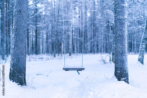 One swing between two trees in winter forest