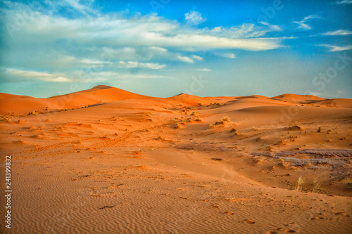 Sahara at dusk