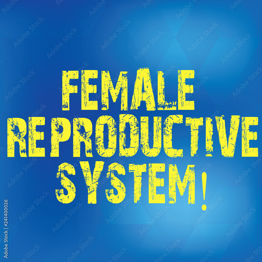 Writing note showing Female Reproductive System. Business photo showcasing  responsible in reproduction of new offspring Blurry Light Flashing Glaring  with Diamond Shape on Hazy Blue Space Stock Illustration | Adobe Stock