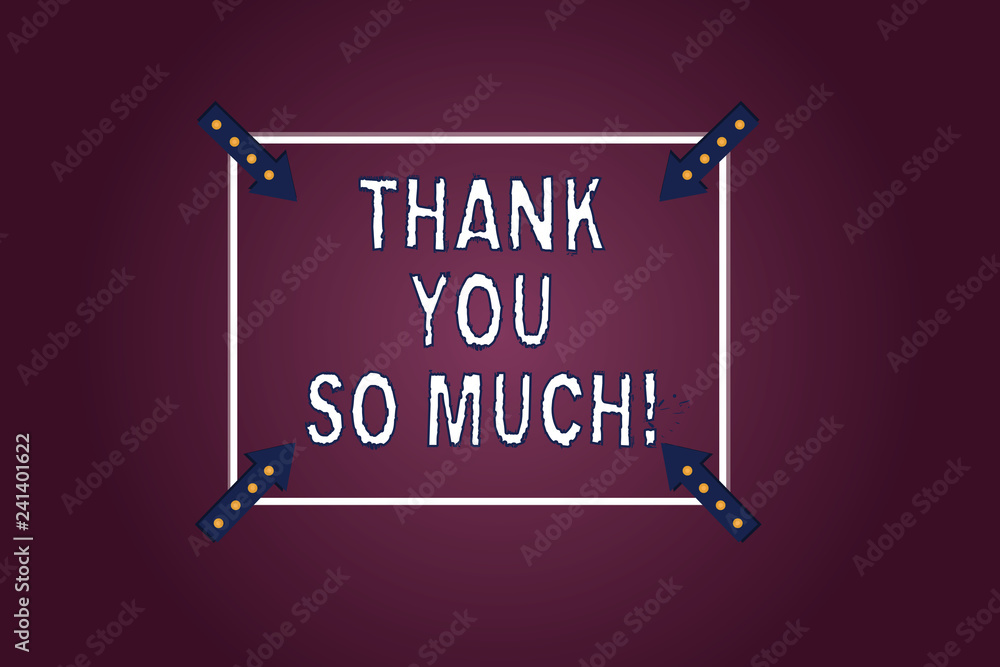 WHAT IS THE MEANING OF THANK YOU SO MUCH visual data 5