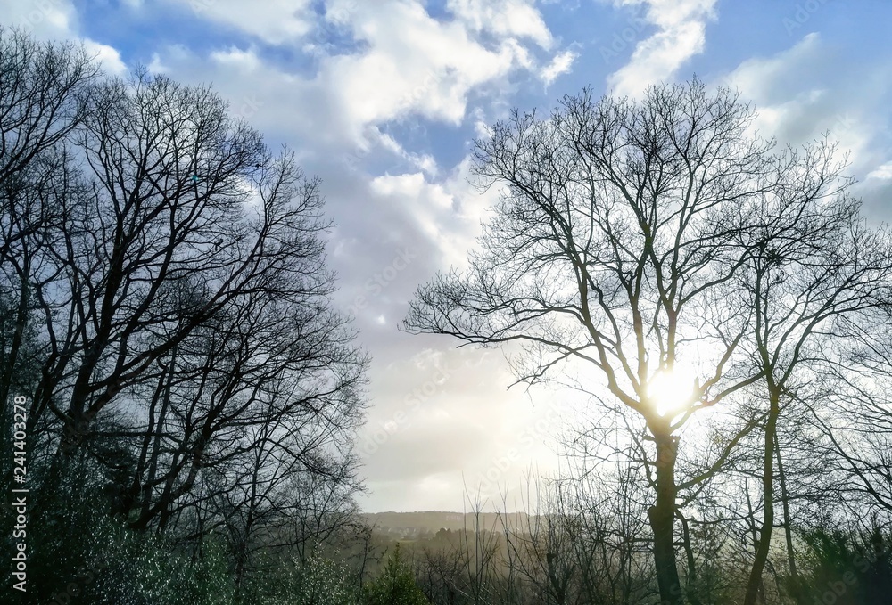 Fototapeta premium btrhdr