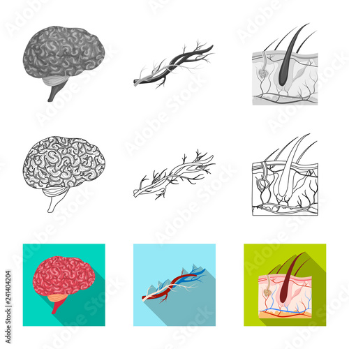 Vector illustration of body and human icon. Set of body and medical stock vector illustration.