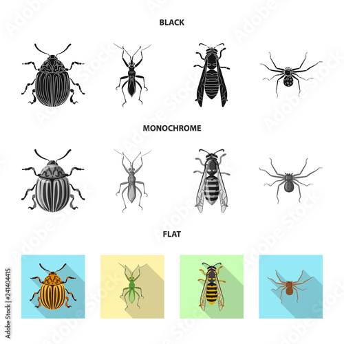 Vector design of insect and fly sign. Collection of insect and element vector icon for stock. © Svitlana