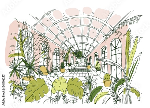 Elegant drawing of interior of pavilion or greenhouse full of tropical plants with lush foliage. Freehand sketch of botanical garden with exotic trees growing in pots. Hand drawn vector illustration.