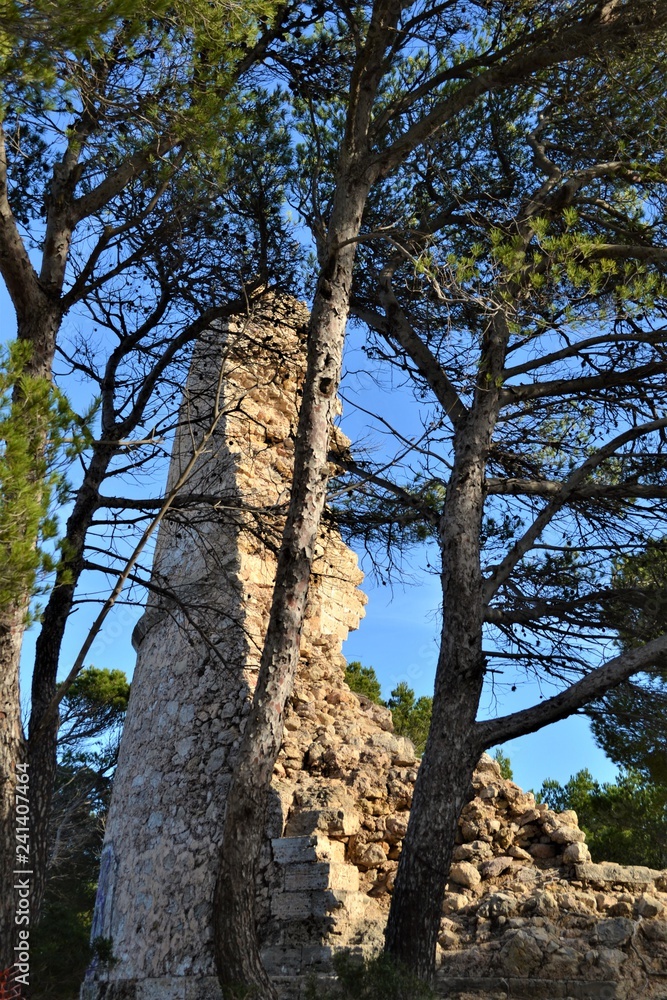 Fototapeta premium Alte Burg