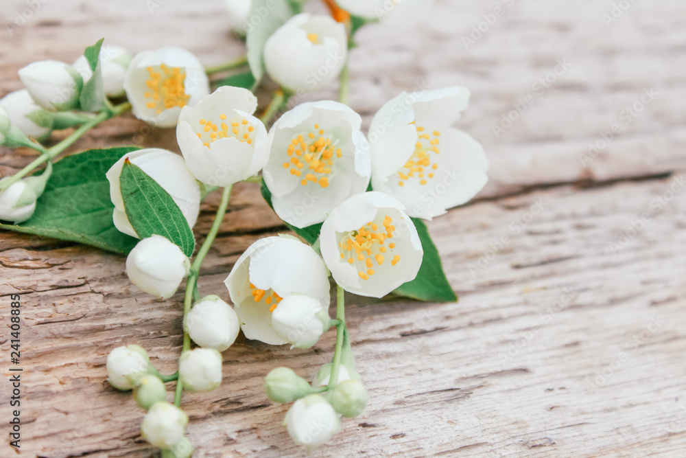 jasmine on wooden background jasmine on wooden background