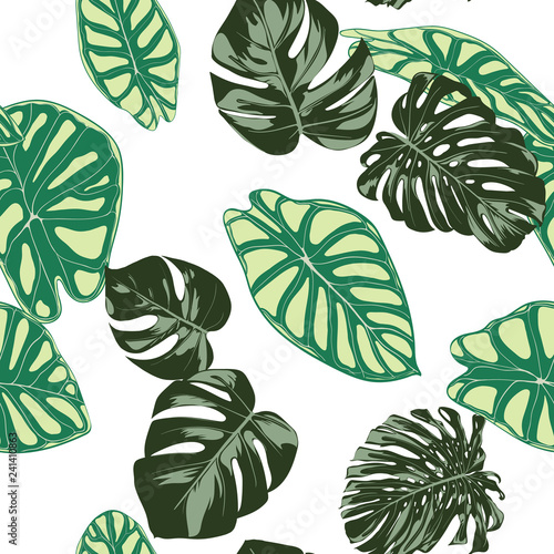 Seamless Exotic Pattern with Tropical Plants. Vector Background with Hand Draw Monstera Palm Leaves. Bright Rapport for Cloth, Textile Design. Jungle Foliage. Seamless Tropical Pattern with Alocasia.