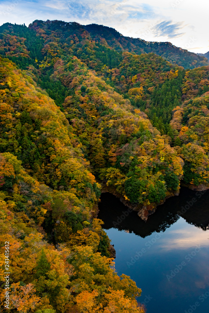 Autumn leaves of Okukuji prefectural natural park / Hitachiota-city, Ibaraki prefecture, Japan