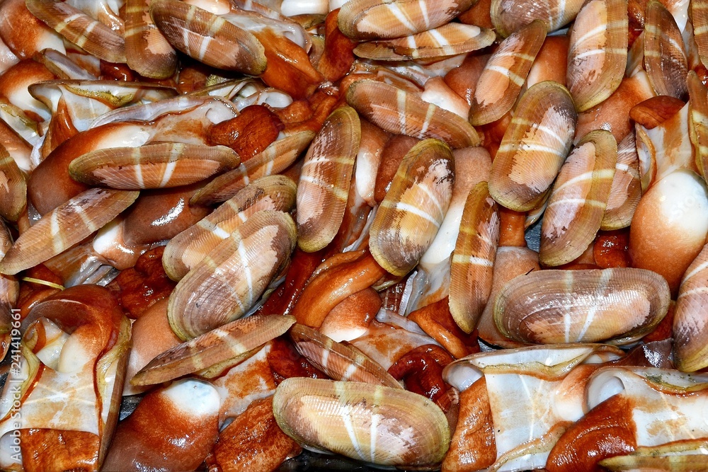Seafood Seafood
