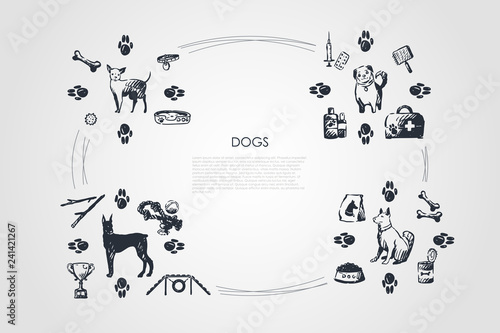 Dogs - different dog breeds with food, bones, collar, footprints, bowl, vet objects vector concept set