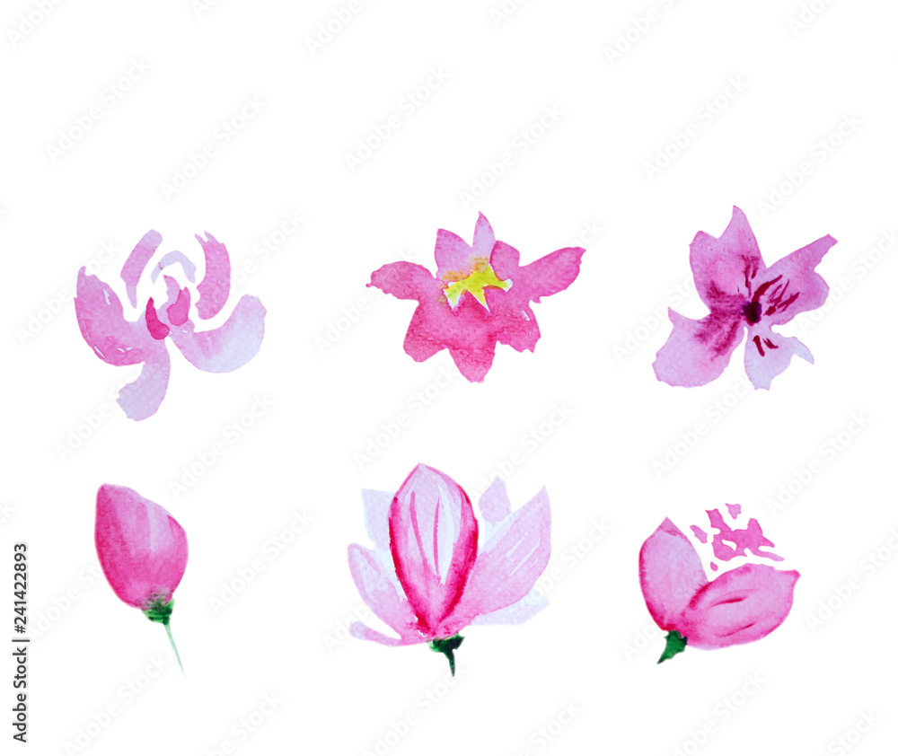 Watercolor hand drawn pink flowers Watercolor hand drawn pink flowers