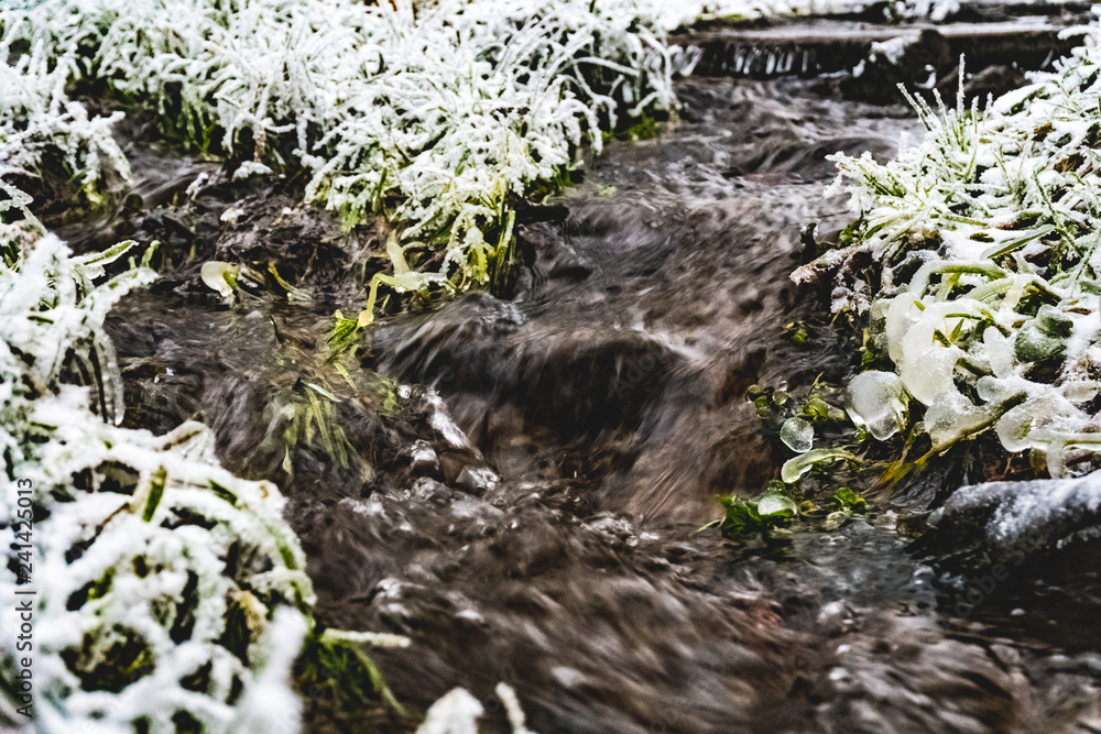 Eternally warm stream flowing from a hot spring in winter. Non-freezing winter grass. Eternally warm stream flowing from a hot spring in winter. Non-freezing winter grass.