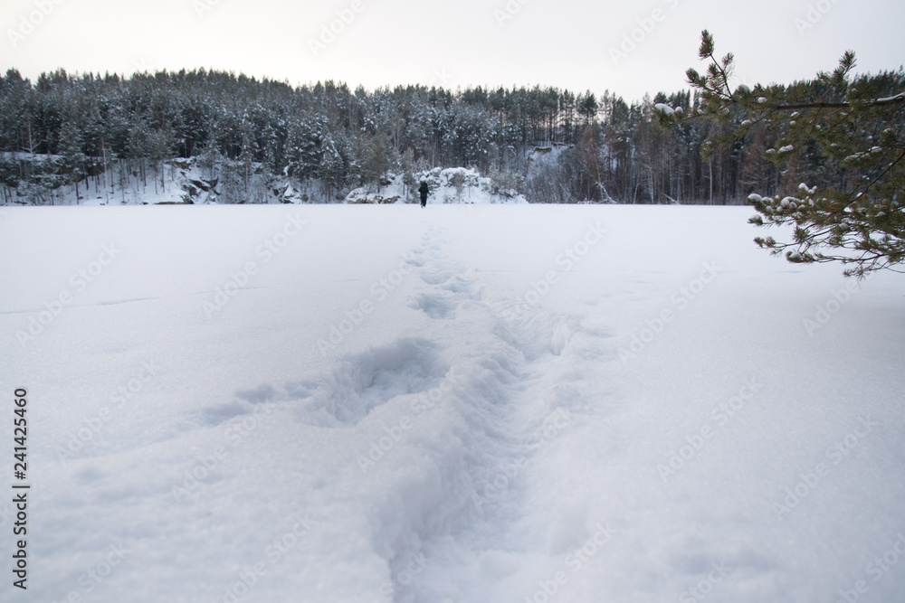 fresh footprints in the in the snow covered landscape fresh footprints in the in the snow covered landscape