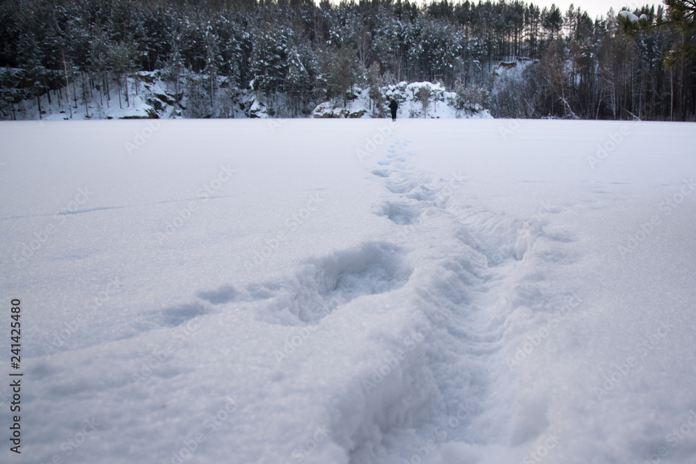 fresh footprints in the in the snow covered landscape