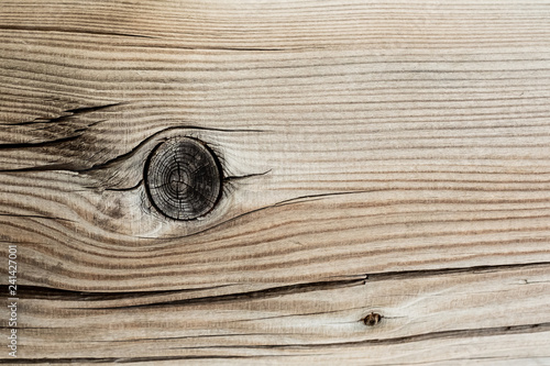wood texture background