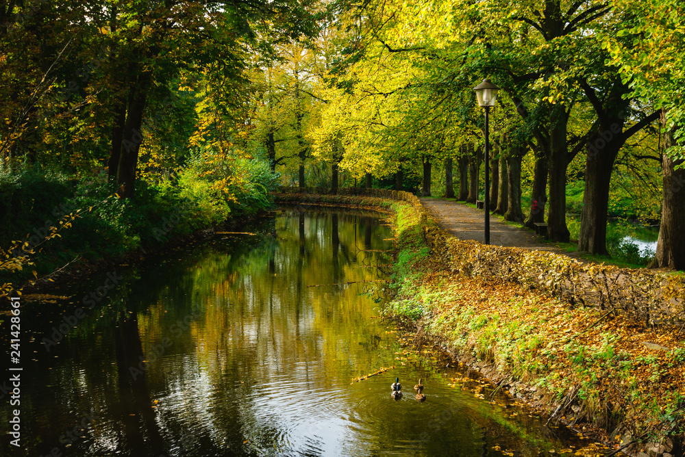 Autumn green park near river in europe