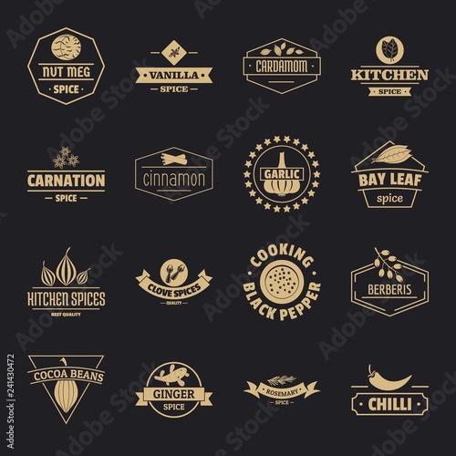 Spice logo icons set. Simple illustration of 16 spice logo vector icons for web