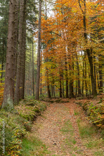 Hiking Trails in Bavaria