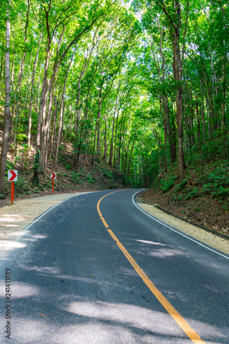 Road in the forest. The Bohol Man-Made is a mahogany forest stretching in a 2 km stretch of densely planted with Mahogany trees. Philippines.