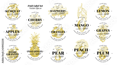 Berry and fruit labels set. Vintage style design. Hand drawn vector illustrations. Set templates price tags for shops and markets of organic vegetarian food. Hand drawn nature objects.
