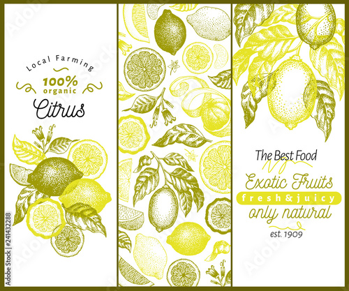 Vintage citrus banner template set. Lemon tree design. Hand drawn vector fruit illustration. Engraved style menu cover.
