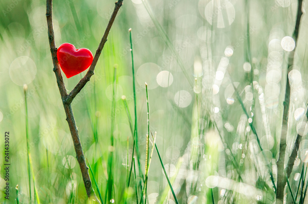 Red heart in nature with wonderful morning drops background and beautiful light. Original wallpaper or postcard for wedding or valentine day, with space for quote. Stock Photo | Adobe Stock Red heart in nature with wonderful morning drops background and beautiful light. Original wallpaper or postcard for wedding or valentine day, with space for quote. Stock Photo | Adobe Stock