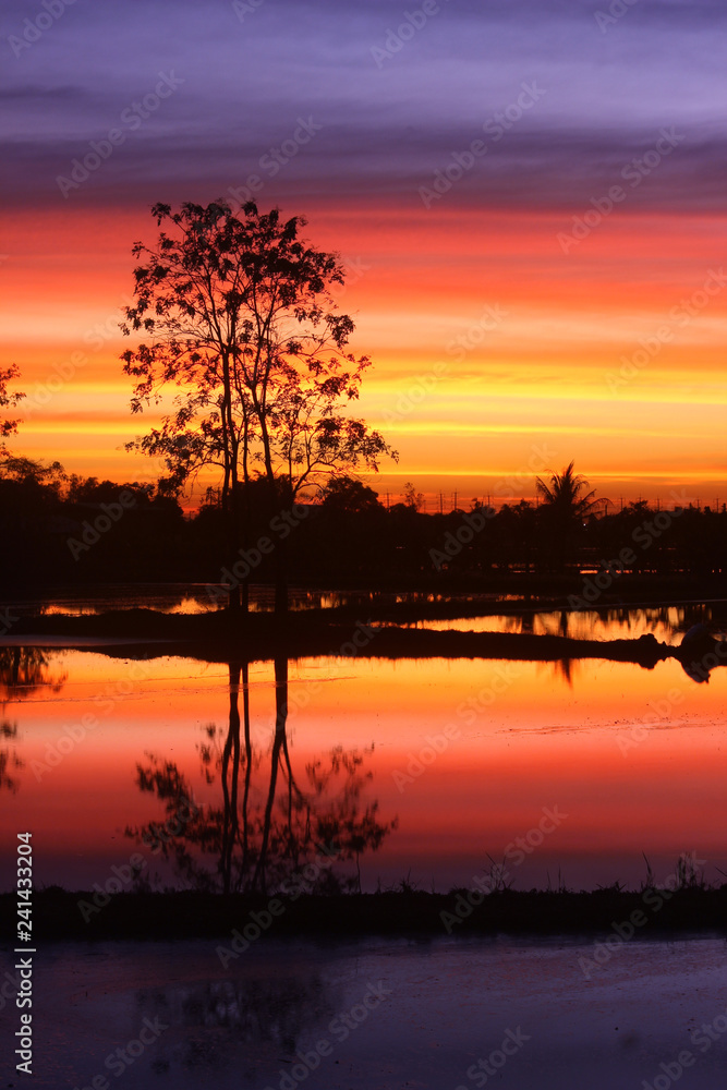 Naklejka premium sunset