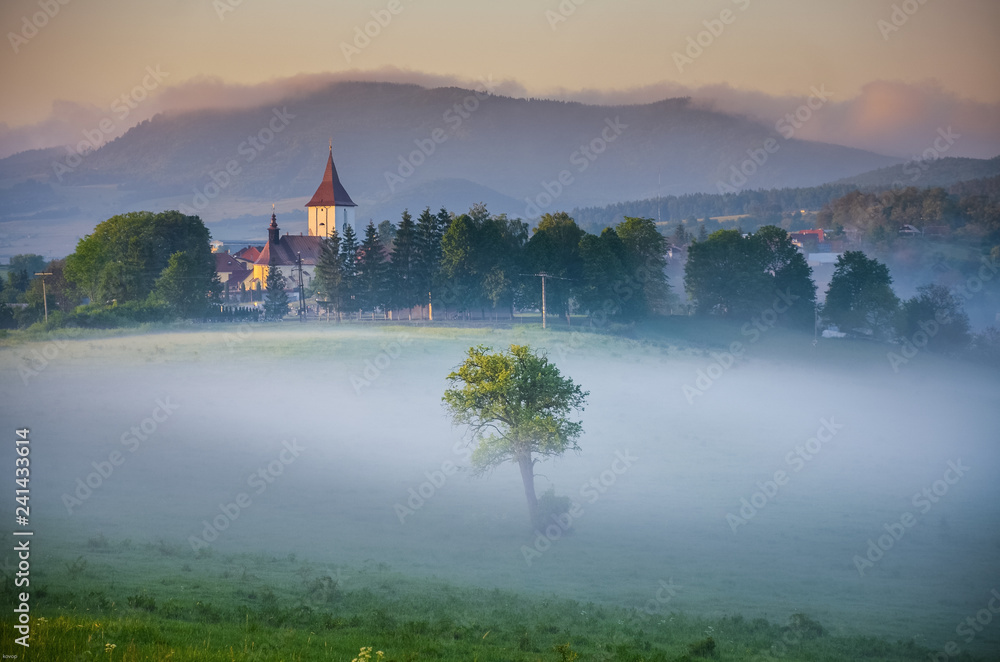 Morning landscape over village with meadows and trees covered by morning mist and beautiful sunrise light