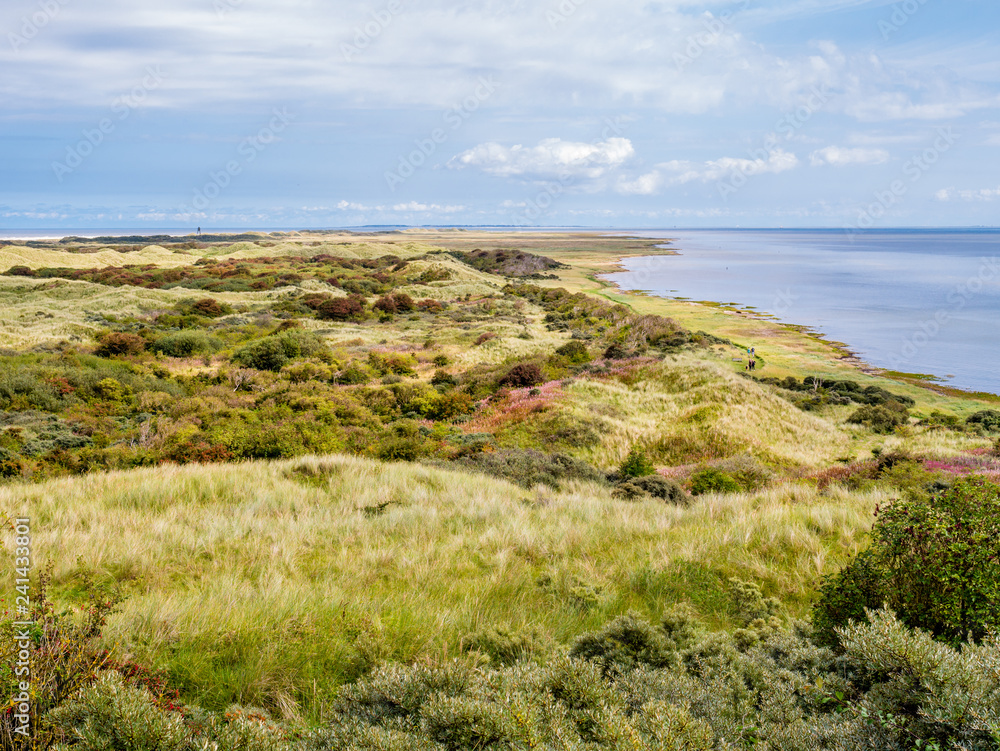 Panorama of dunes and Waddensea coast of nature reserve Het Oerd on West Frisian island Ameland, Friesland, Netherlands