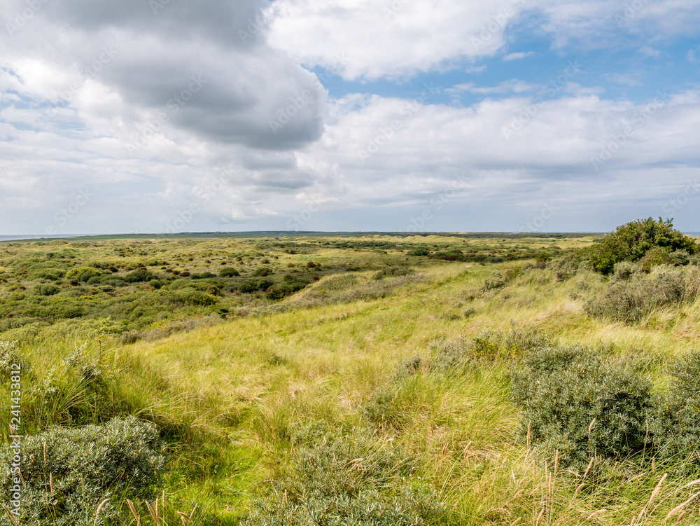 Panorama of dune landscape of nature reserve Het Oerd on West Frisian island Ameland, Friesland, Netherlands