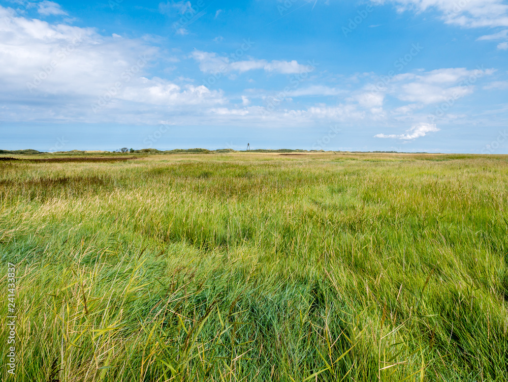 Salt marshes and wooden beacon in nature reserve Het Oerd on West Frisian island Ameland, Netherlands Salt marshes and wooden beacon in nature reserve Het Oerd on West Frisian island Ameland, Netherlands