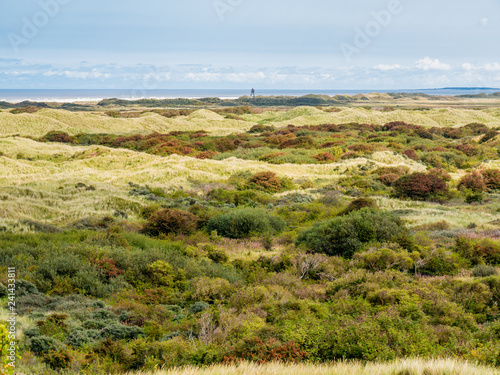 Dunes and North Sea coast of nature reserve Het Oerd on West Frisian island Ameland, Friesland, Netherlands
