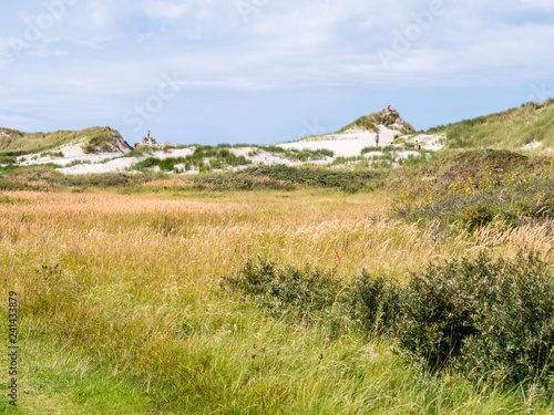 People in dunes and marshland with grass in nature reserve Het Oerd on West Frisian island Ameland, Netherlands photo