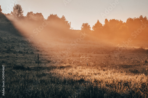 Landscape with rye field  hills  trees in morning mist and with beautiful colors of sunrise light. Wonderful wallpaper from summer morning.